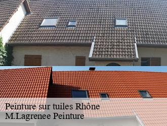 Peinture sur tuiles 69 Rhône  M.Lagrenee Peinture