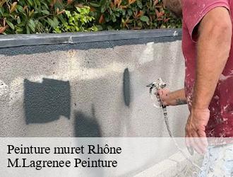 Peinture muret 69 Rhône  M.Lagrenee Peinture