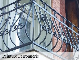 Peinture Ferronnerie 69 Rhône  M.Lagrenee Peinture