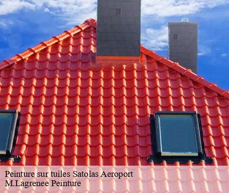 Peinture sur tuiles  satolas-aeroport-69125 M.Lagrenee Peinture