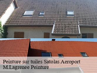 Peinture sur tuiles  satolas-aeroport-69125 M.Lagrenee Peinture