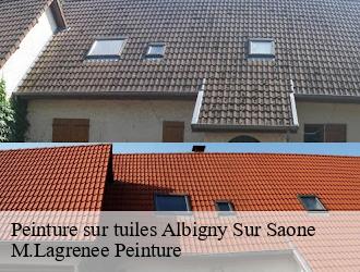 Peinture sur tuiles  albigny-sur-saone-69250 M.Lagrenee Peinture