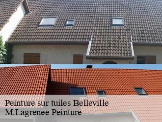 Peinture sur tuiles  belleville-69220 M.Lagrenee Peinture