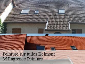 Peinture sur tuiles  belmont-69380 M.Lagrenee Peinture