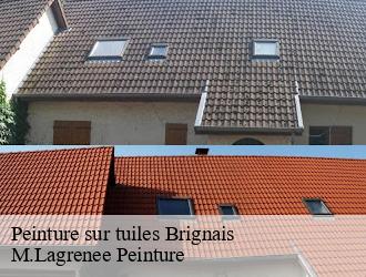 Peinture sur tuiles  brignais-69530 M.Lagrenee Peinture