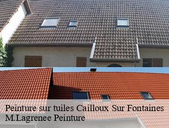 Peinture sur tuiles  cailloux-sur-fontaines-69270 M.Lagrenee Peinture