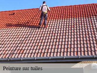 Peinture sur tuiles  fleurieux-sur-l-arbresle-69210 M.Lagrenee Peinture