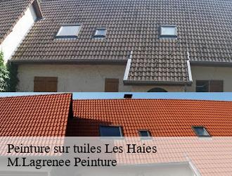 Peinture sur tuiles  les-haies-69420 M.Lagrenee Peinture