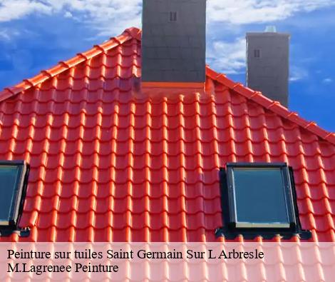 Peinture sur tuiles  saint-germain-sur-l-arbresle-69210 M.Lagrenee Peinture