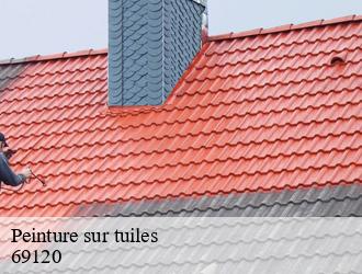 Peinture sur tuiles  vaulx-en-velin-69120 M.Lagrenee Peinture