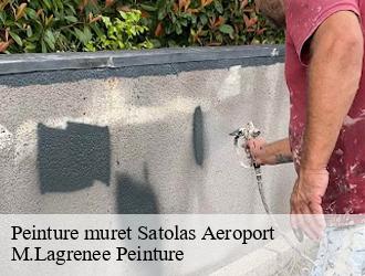 Peinture muret  satolas-aeroport-69125 M.Lagrenee Peinture