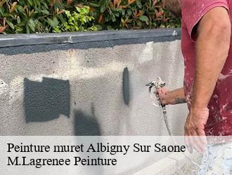 Peinture muret  albigny-sur-saone-69250 M.Lagrenee Peinture