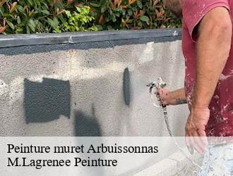 Peinture muret  arbuissonnas-69460 M.Lagrenee Peinture