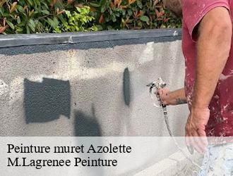 Peinture muret  azolette-69790 M.Lagrenee Peinture