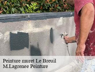 Peinture muret  le-breuil-69620 M.Lagrenee Peinture