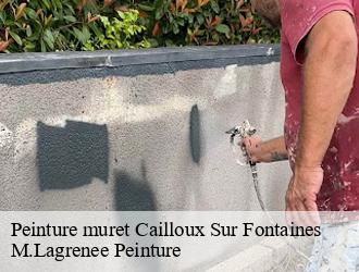 Peinture muret  cailloux-sur-fontaines-69270 M.Lagrenee Peinture