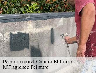 Peinture muret  caluire-et-cuire-69300 M.Lagrenee Peinture