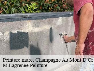 Peinture muret  champagne-au-mont-d-or-69410 M.Lagrenee Peinture