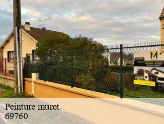 Peinture muret  limonest-69760 M.Lagrenee Peinture