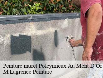 Peinture muret  poleymieux-au-mont-d-or-69250 M.Lagrenee Peinture