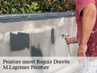 Peinture muret  regnie-durette-69430 M.Lagrenee Peinture