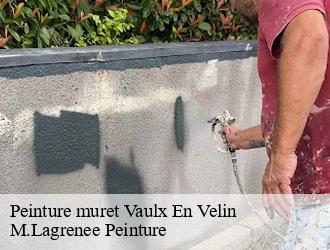 Peinture muret  vaulx-en-velin-69120 M.Lagrenee Peinture