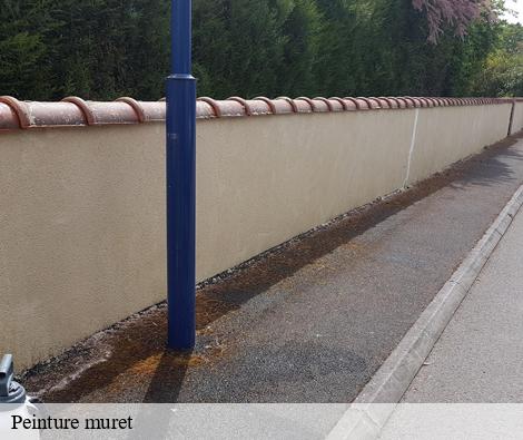 Peinture muret yzeron-69510 M.Lagrenee Peinture
