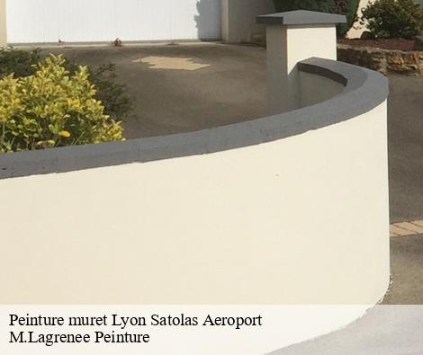 Peinture muret  lyon-satolas-aeroport-69125 M.Lagrenee Peinture