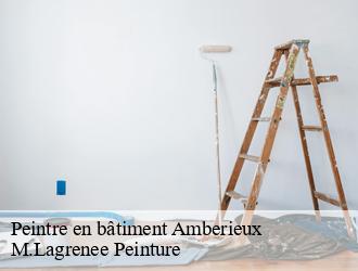 Peintre en bâtiment  amberieux-69480 M.Lagrenee Peinture