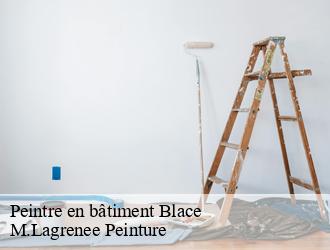 Peintre en bâtiment  blace-69460 M.Lagrenee Peinture