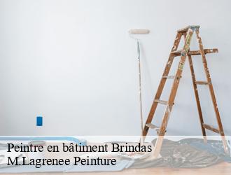 Peintre en bâtiment  brindas-69126 M.Lagrenee Peinture