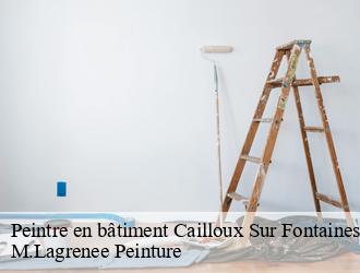 Peintre en bâtiment  cailloux-sur-fontaines-69270 M.Lagrenee Peinture