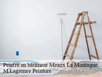 Peintre en bâtiment  meaux-la-montagne-69550 M.Lagrenee Peinture