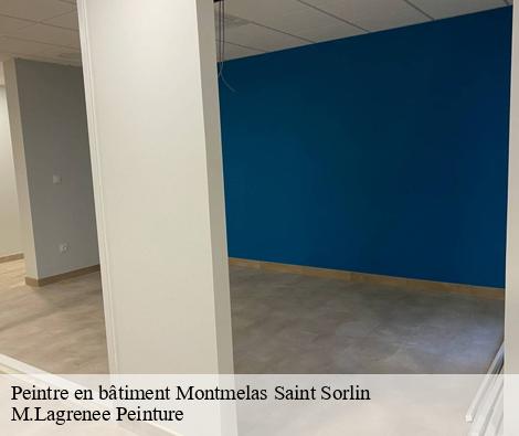 Peintre en bâtiment  montmelas-saint-sorlin-69640 M.Lagrenee Peinture