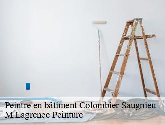 Peintre en bâtiment  colombier-saugnieu-69124 M.Lagrenee Peinture