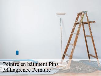 Peintre en bâtiment  pins-69440 M.Lagrenee Peinture