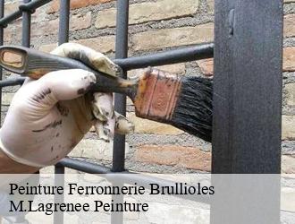 Peinture Ferronnerie  brullioles-69690 M.Lagrenee Peinture