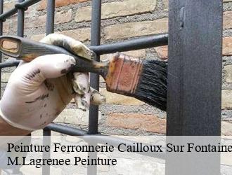 Peinture Ferronnerie  cailloux-sur-fontaines-69270 M.Lagrenee Peinture