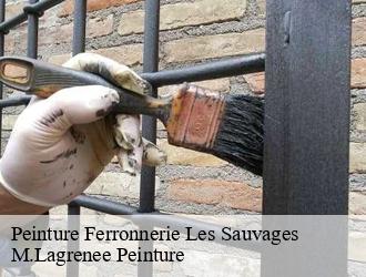 Peinture Ferronnerie  les-sauvages-69170 M.Lagrenee Peinture