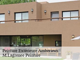 Peinture Extérieure  amberieux-69480 M.Lagrenee Peinture