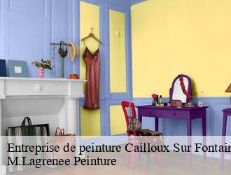 Entreprise de peinture  cailloux-sur-fontaines-69270 M.Lagrenee Peinture