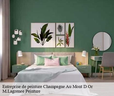 Entreprise de peinture  champagne-au-mont-d-or-69410 M.Lagrenee Peinture