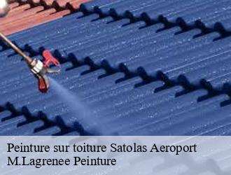 Peinture sur toiture  satolas-aeroport-69125 M.Lagrenee Peinture