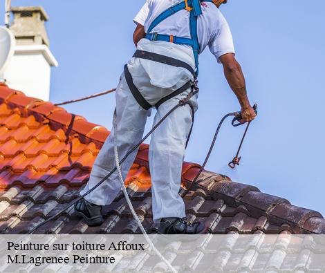 Peinture sur toiture  affoux-69170 M.Lagrenee Peinture