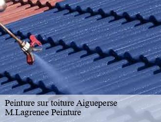 Peinture sur toiture  aigueperse-69790 M.Lagrenee Peinture