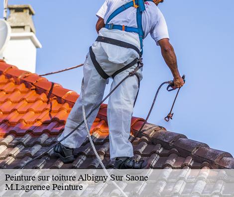 Peinture sur toiture  albigny-sur-saone-69250 M.Lagrenee Peinture