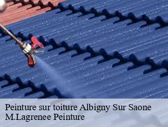 Peinture sur toiture  albigny-sur-saone-69250 M.Lagrenee Peinture