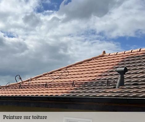 Peinture sur toiture  albigny-sur-saone-69250 M.Lagrenee Peinture