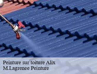 Peinture sur toiture  alix-69380 M.Lagrenee Peinture