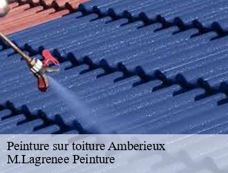 Peinture sur toiture  amberieux-69480 M.Lagrenee Peinture